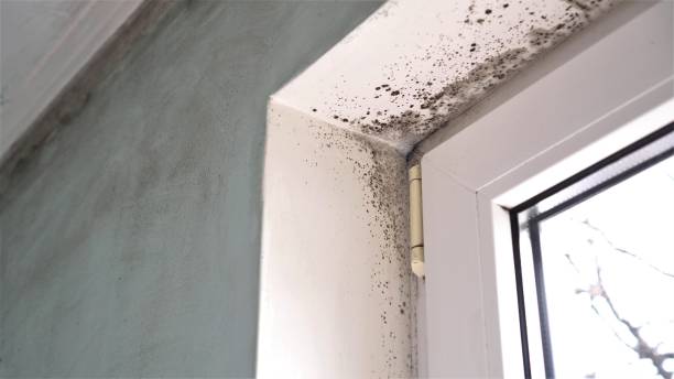 Water Damage Restoration in Vauxhall, NJ